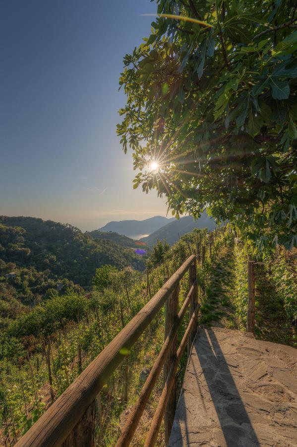 Villa Cà du Venuto 2 à Vernazza Extérieur photo
